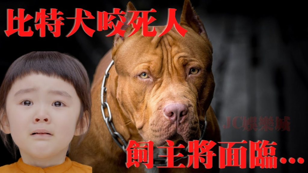 屏東【比特犬咬死人】！比特犬飼主涉刑責，兩派網友吵翻天～