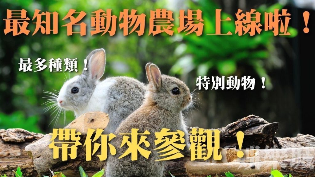 【全台知名的動物農場上線啦！】各種特別動物！而農場竟有鱷魚！